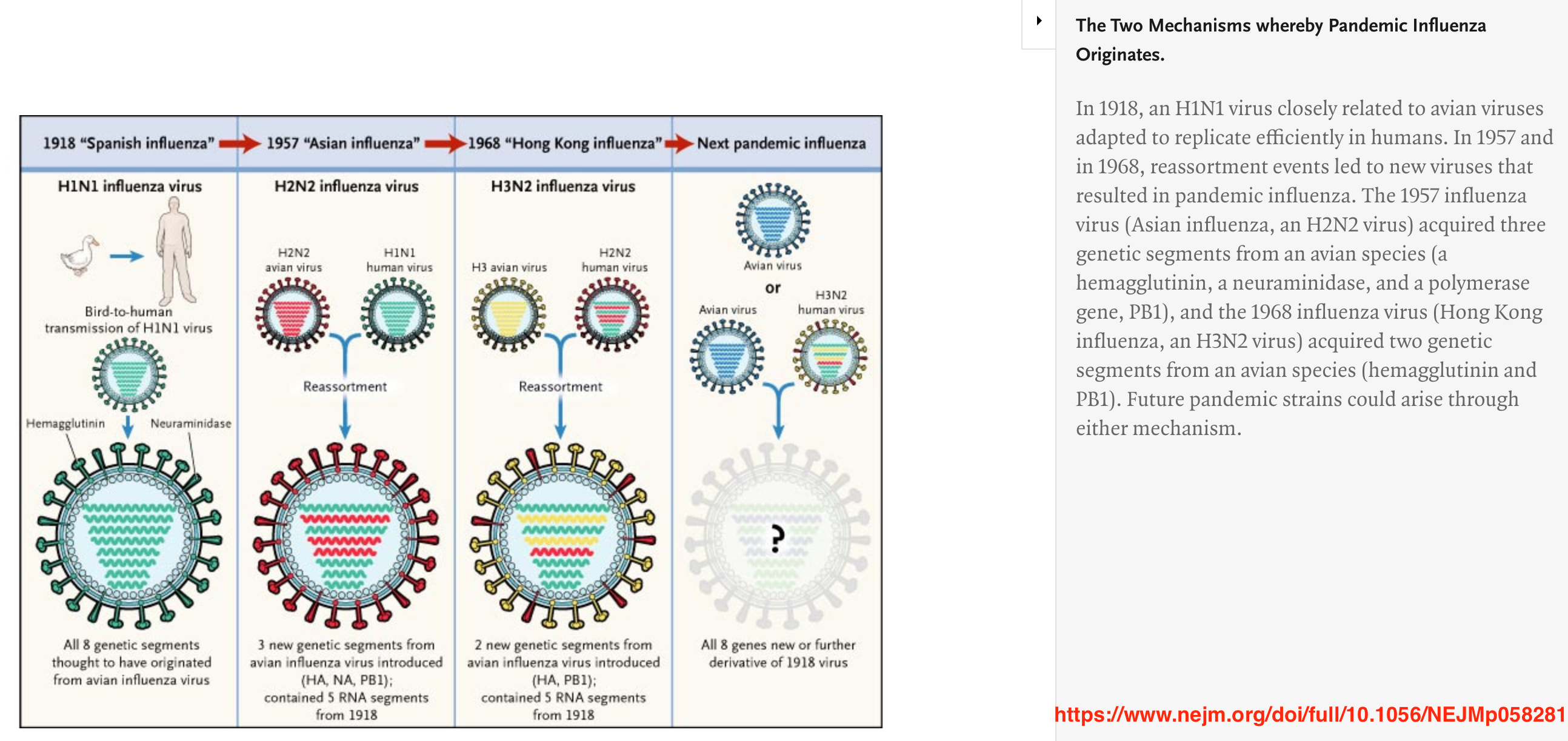 The Next COVID Should We Fear the Global Spread of H5N8 Bird Flu